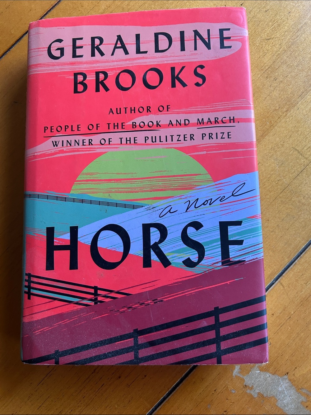Horse by Geraldine Brooks - Coral & Teal Hardcover Novel